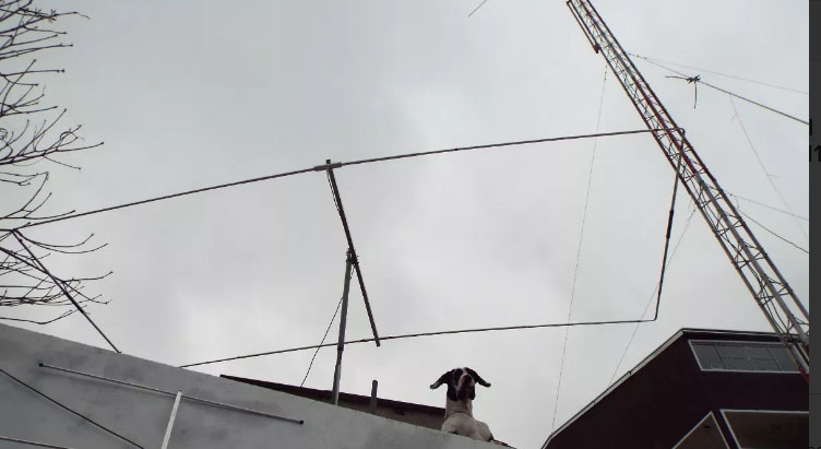 Antena Direcional 2 El Mod Moxon 10 E 11m Px Py)  R$ 290,00 — Foto 2